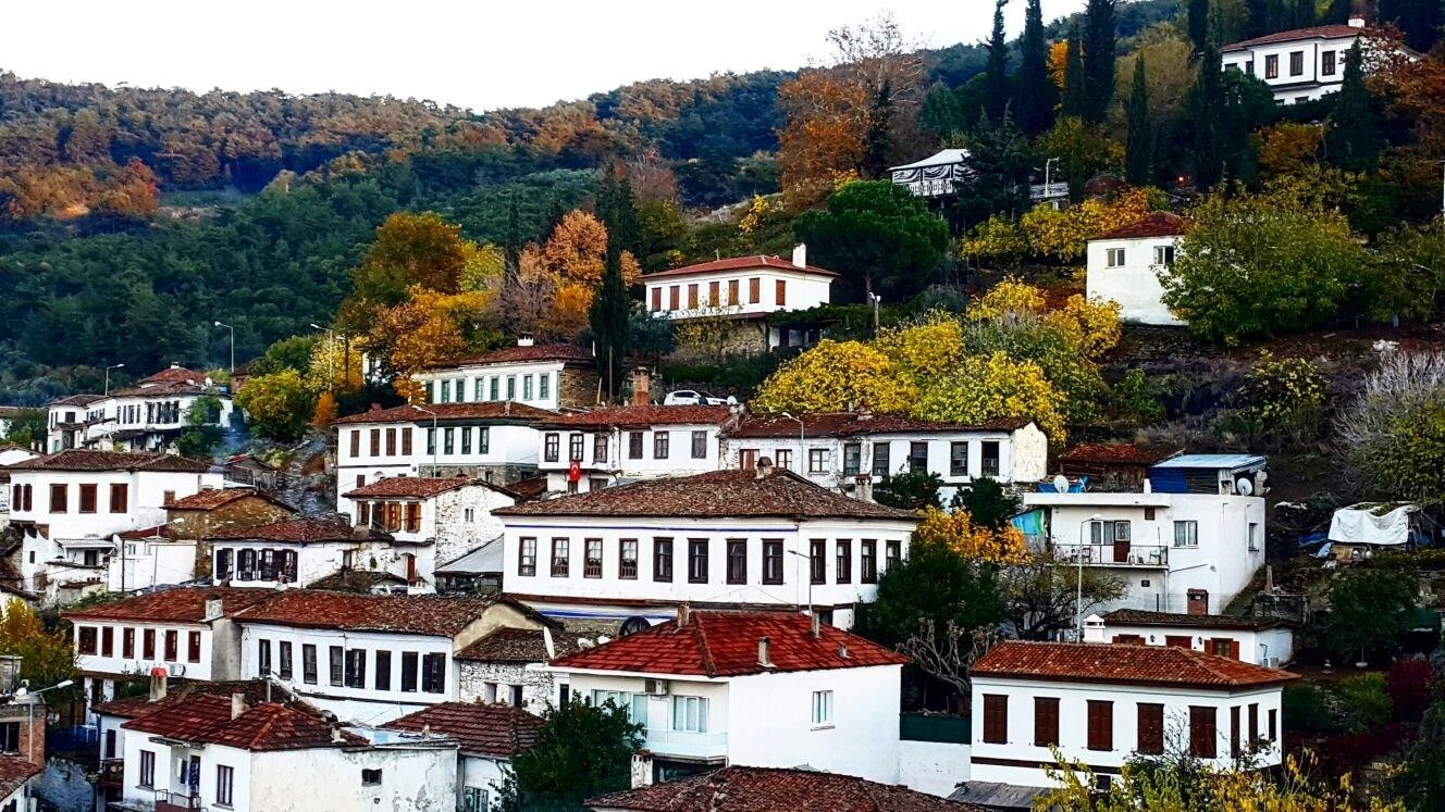 Your Easy Guide to Reaching Selçuk from Izmir and Bodrum in 2025 